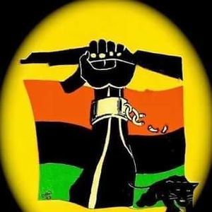 Meet your Posher, Jerry